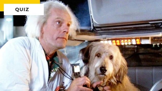 Kubet phát hành Quiz Cinéma: 8 chú chó, 8 bộ phim từ những năm 80 để công nhận! Bạn sẽ có thể?