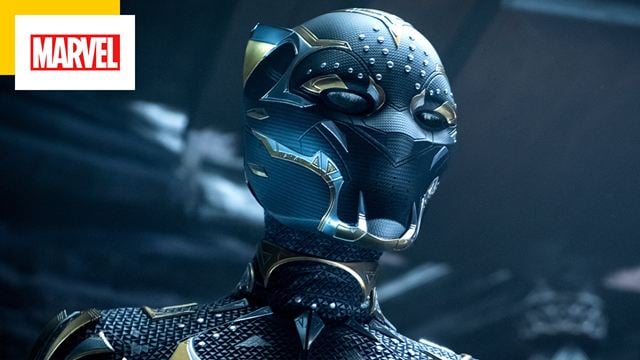 Ku Black Panther 3: nó có được lên kế hoạch không? Marvel nói về các dự án khác!