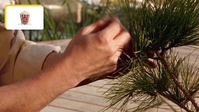 Kubet phát hành Bộ phim từ những năm 80 này đình đám đến mức nó thậm chí còn có loạt phim hoạt hình của riêng mình!